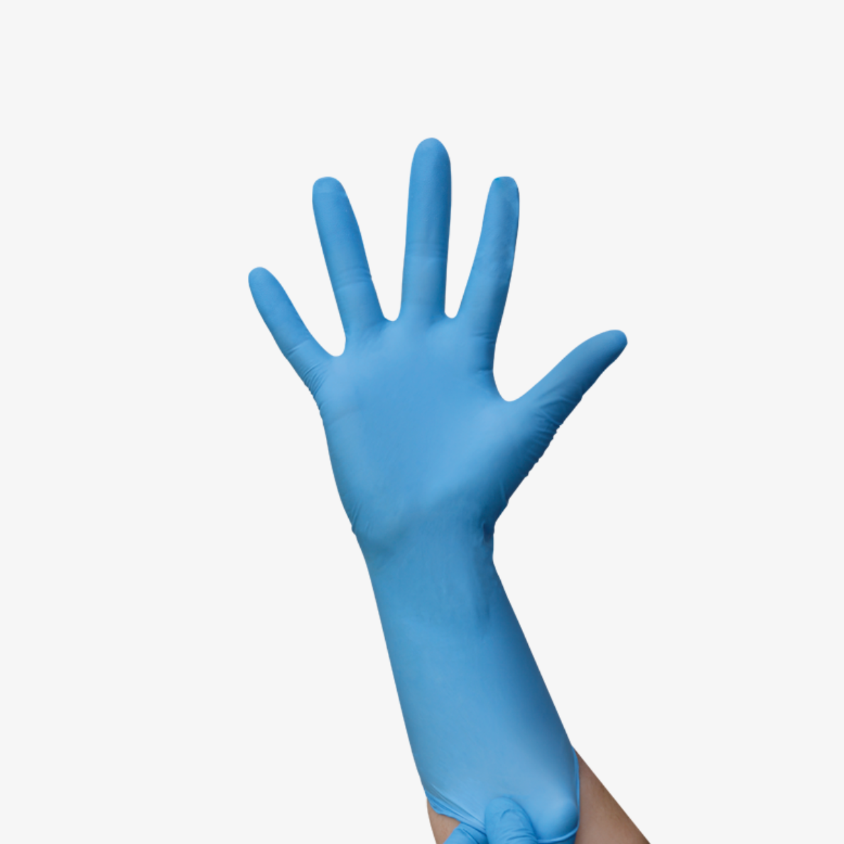 Texte alternatif de l'image